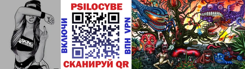 kraken маркетплейс  Боготол  Галлюциногенные грибы MAGIC MUSHROOMS 